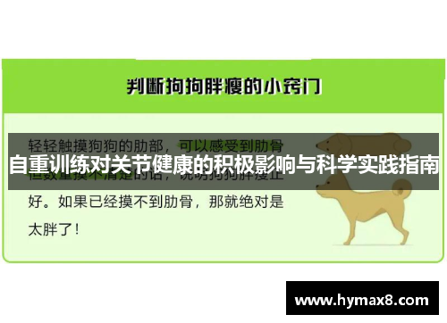 自重训练对关节健康的积极影响与科学实践指南