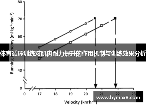 体育循环训练对肌肉耐力提升的作用机制与训练效果分析